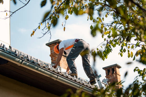 Best Roof Gutter Cleaning  in Spencerville, MD